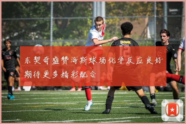 东契奇盛赞海斯球场化学反应良好期待更多精彩配合