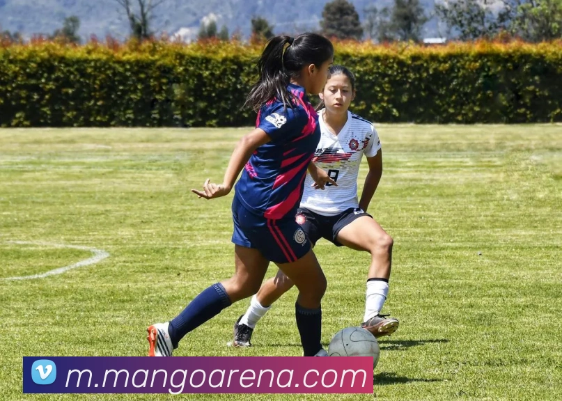 芒果体育发展历程